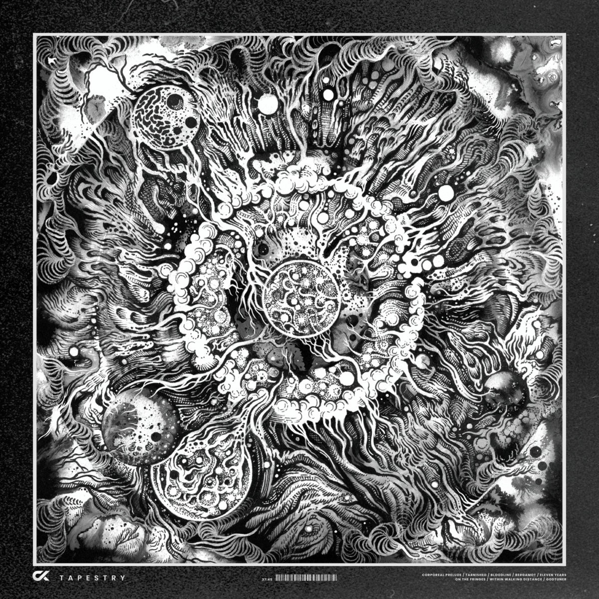 Connor Kaminski - Tapestry