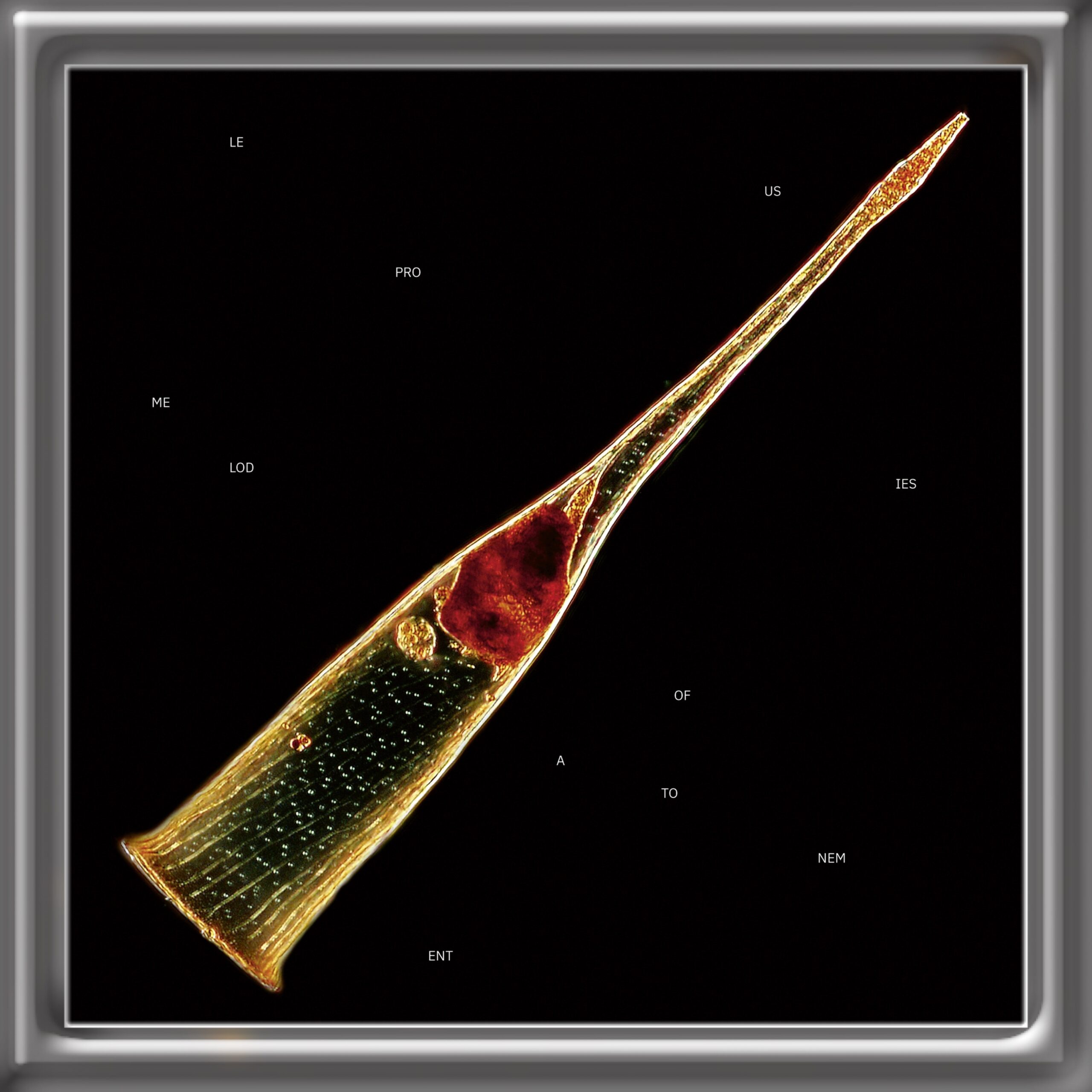 Leprous - Melodies of Atonement