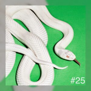 25 - Deftones - private music