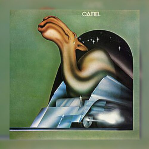 Camel - Camel