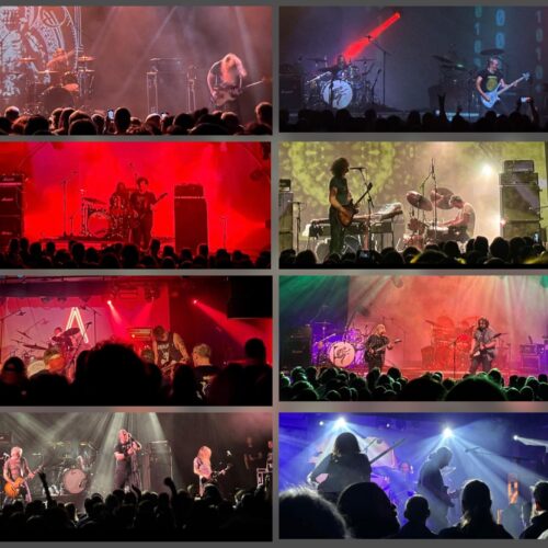 Desert Fest 2025 Cover