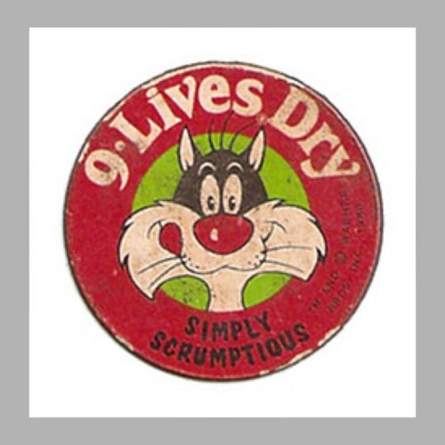 9 Canlı & 9 Kısa - 2025