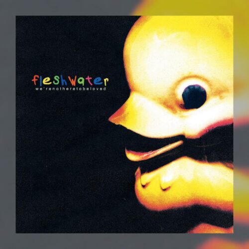 fleshwater - We’re Not Here to Be Loved