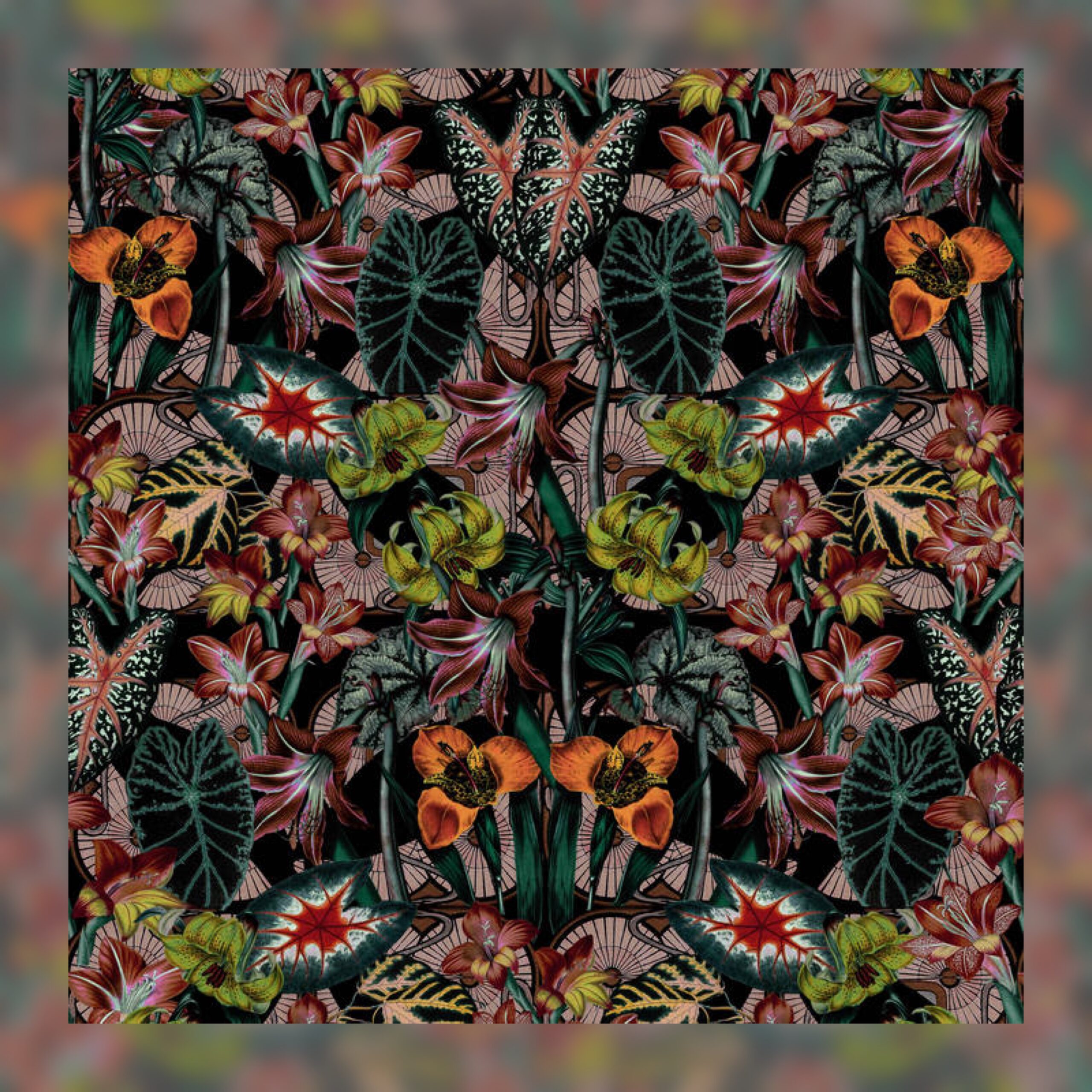 Sammy Boller - Midnight Garden