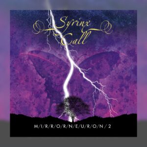 Syrinx Call - Mirrorneuron, Part 2