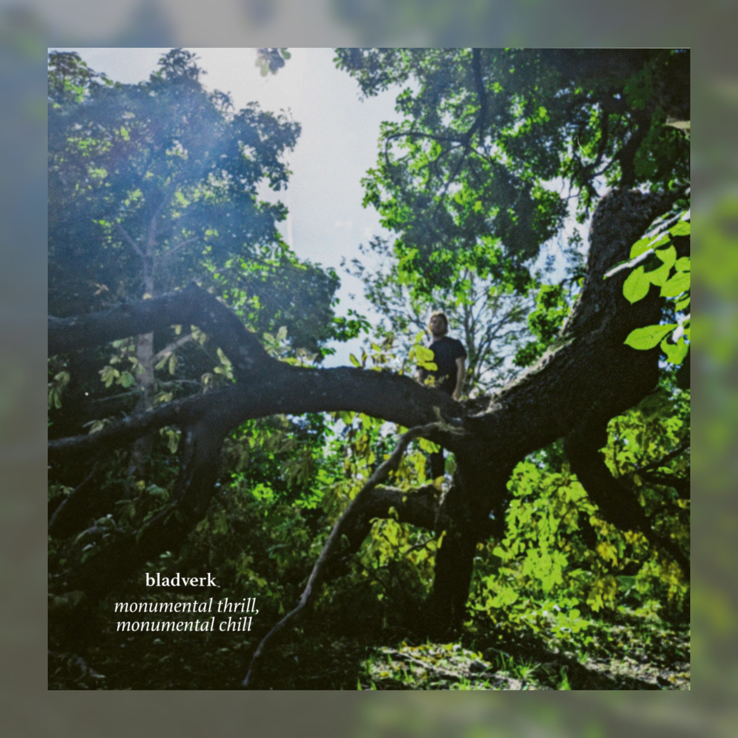 bladverk - Monumental Thrill, Monumental Chill