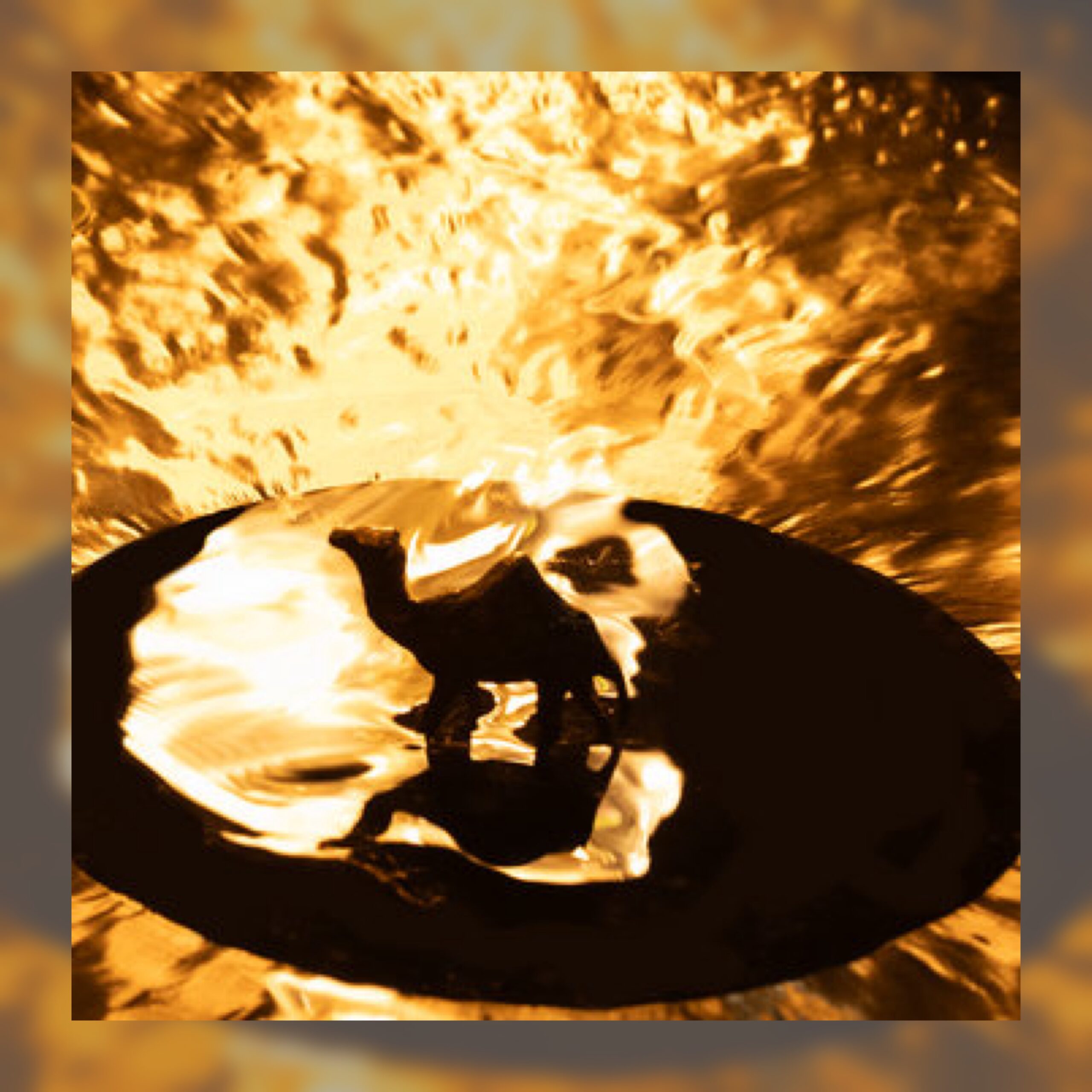 Brass Camel - Brass Camel