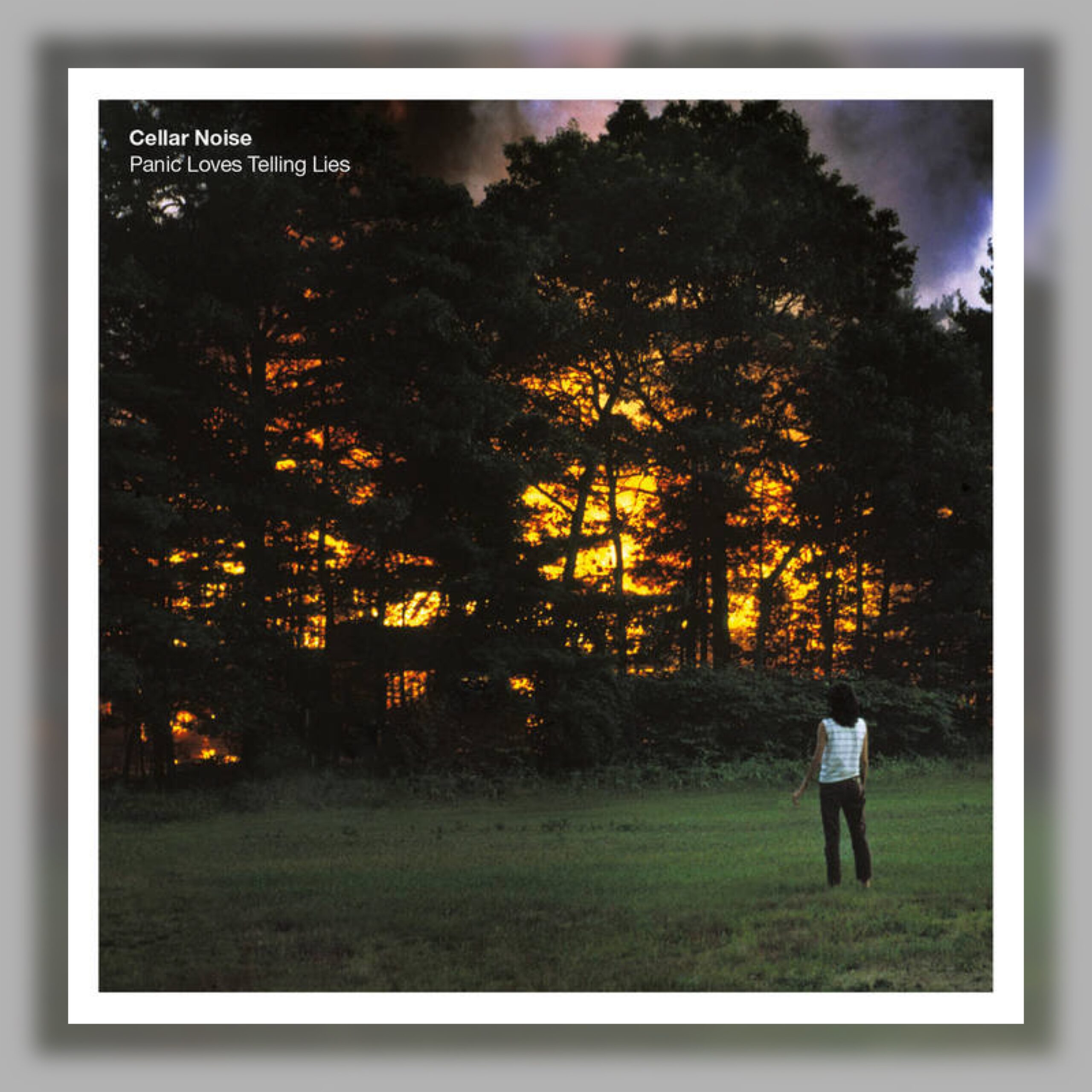 Cellar Noise - Panic Lovers Telling Lies