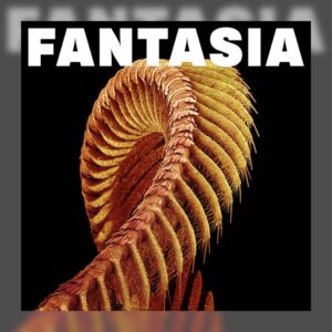 Slift - Fantasia